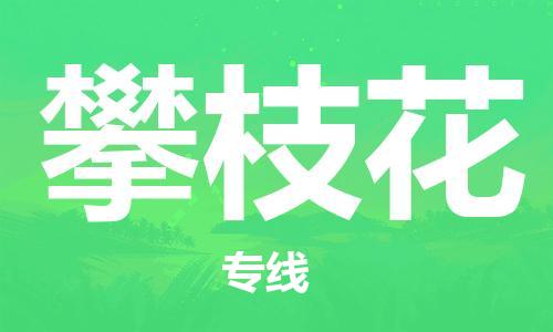 镇江到攀枝花物流公司-镇江到攀枝花物流专线-镇江到攀枝花货运运输日用百货运输专线快运直达